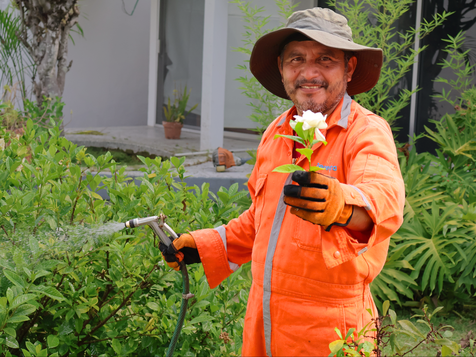 Limpieza y jardinería